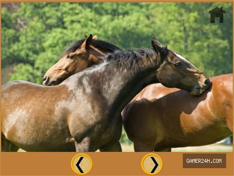 lovely horses for kids – free game Screenshot 5