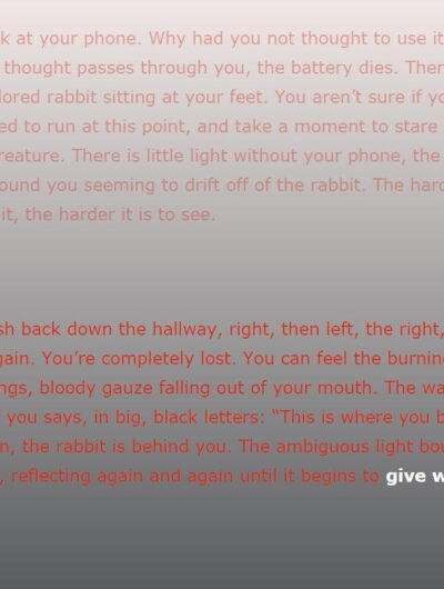 iron rabbit encounter
