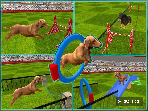 Dog Show Simulator 3D: Train puppies & perform amazing stunts Screenshot 6