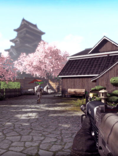 S.K.I.L.L. – Special Force 2 (Shooter)