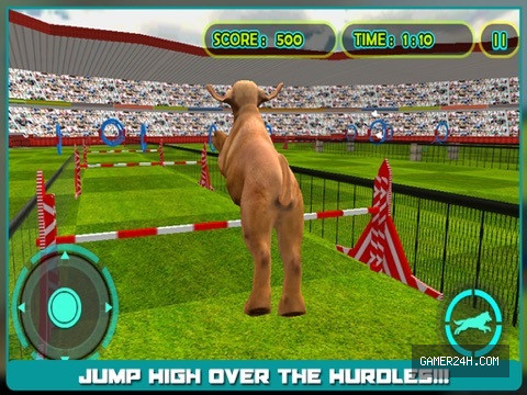 Dog Show Simulator 3D: Train puppies & perform amazing stunts Screenshot 3