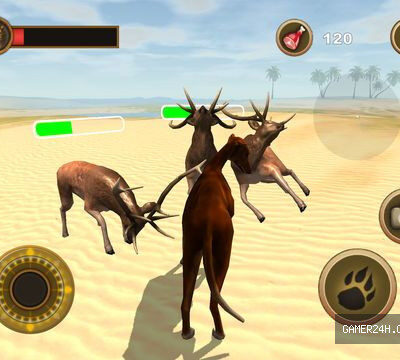 Bird Dog Chase Simulator