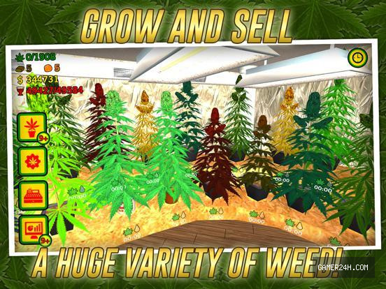 Weed Shop The Game Screenshot 2