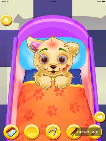 Official HD Capture: Doberman Puppies Pet Caring Game - Game Overview & History