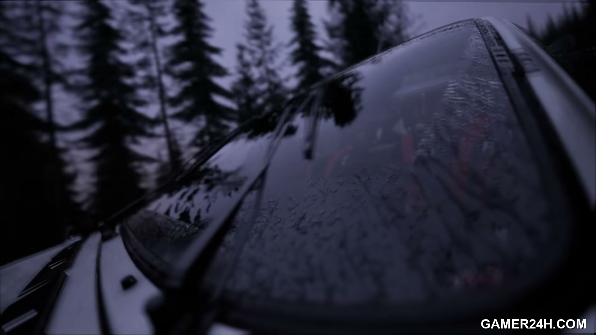 Assetto Corsa Rally Screenshot 2