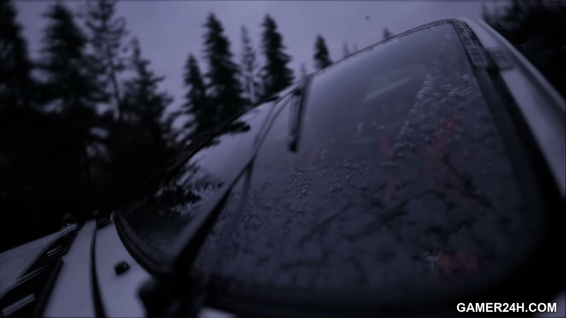 Assetto Corsa Rally Screenshot 3