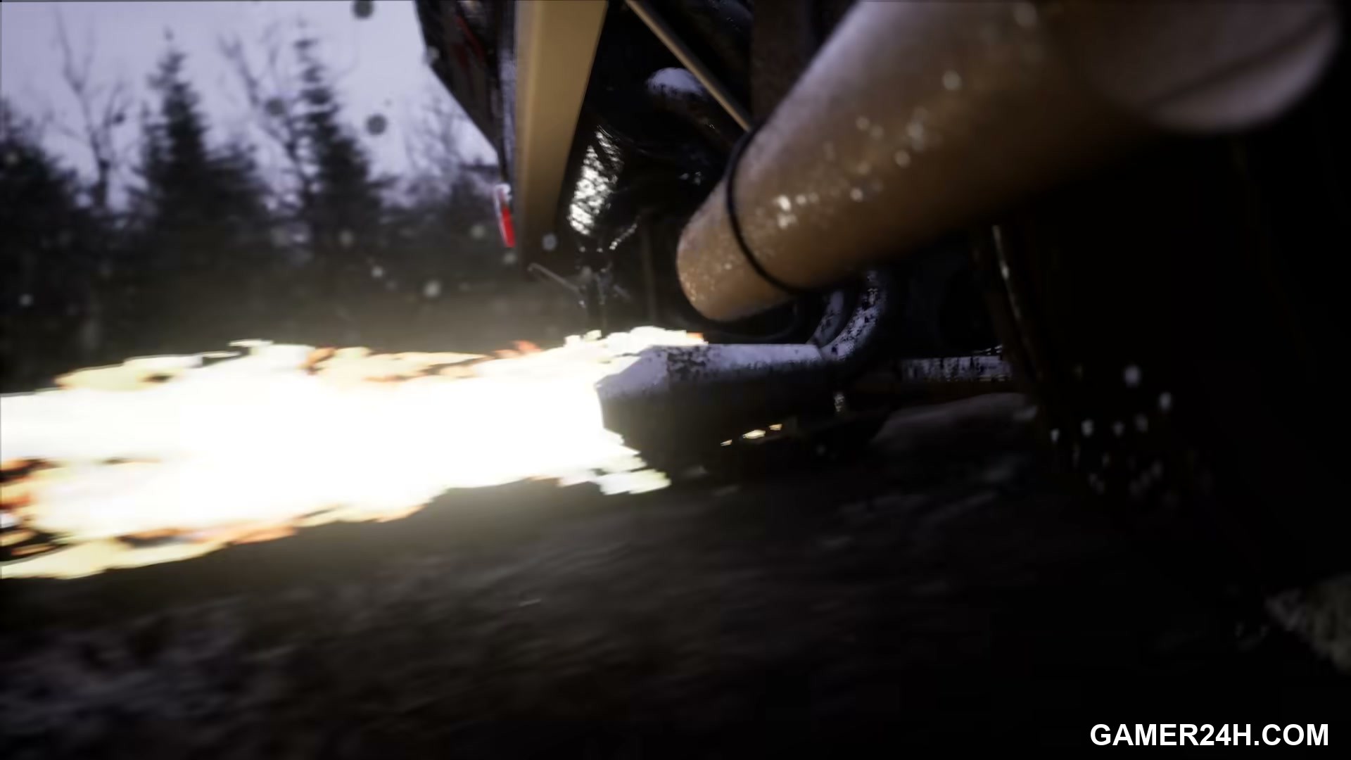 Assetto Corsa Rally Screenshot 4
