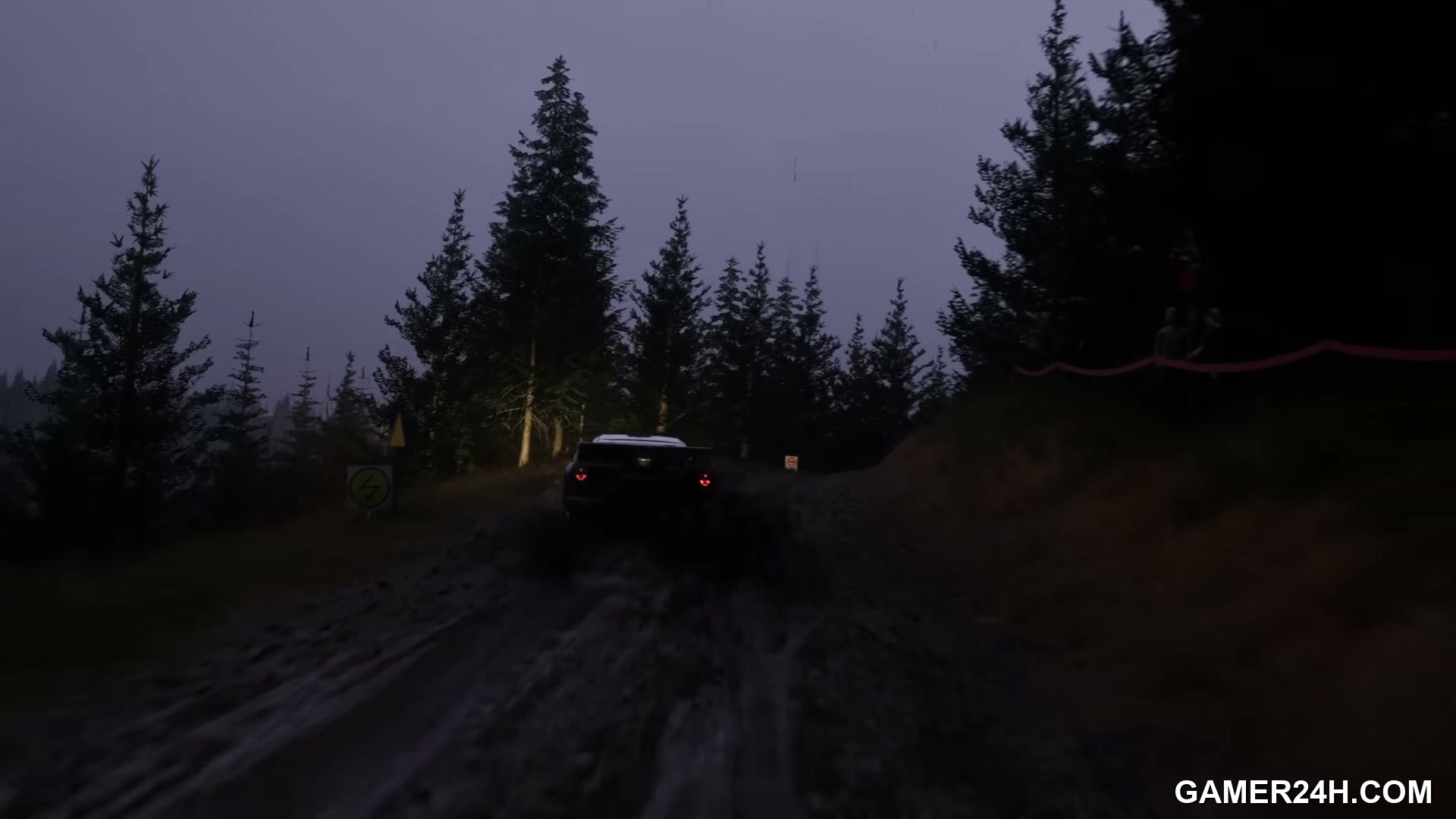 Assetto Corsa Rally Screenshot 5