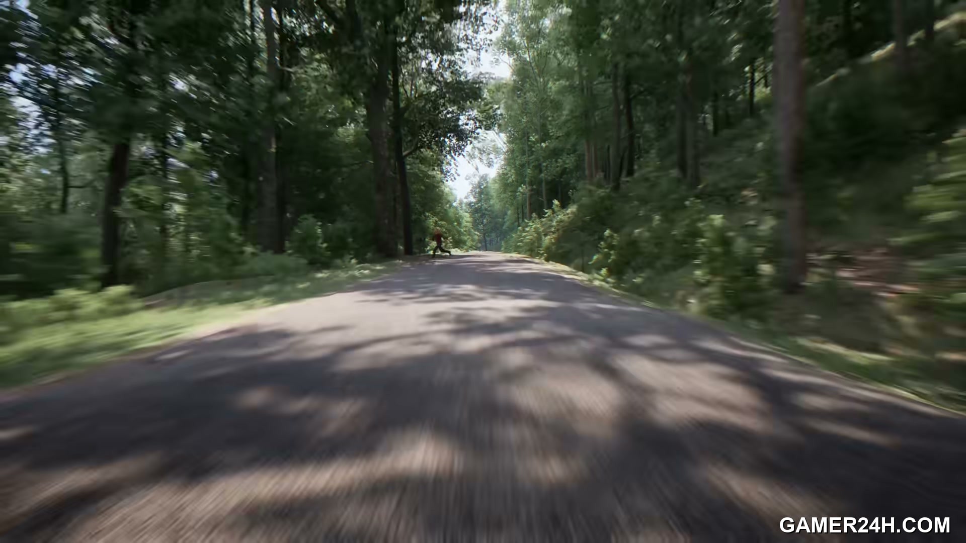 Assetto Corsa Rally - Gameplay & Atmosphere Analysis: Portals and Tension