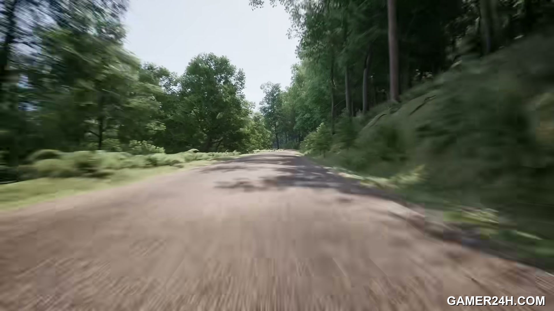 Assetto Corsa Rally - Narrative & Characters: The Architects' Mystery and Lucia's Mission