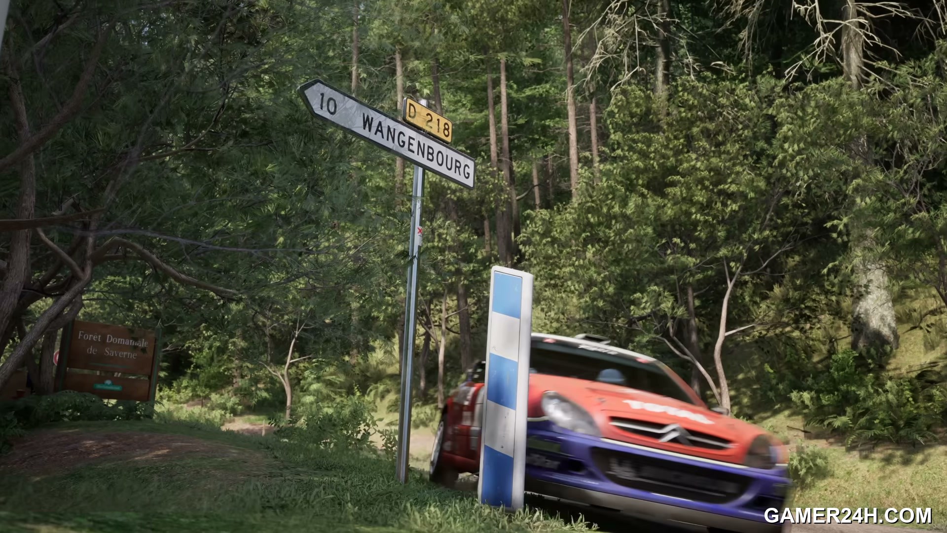 Assetto Corsa Rally - Conclusion: The Vanguard of Next-Gen Action