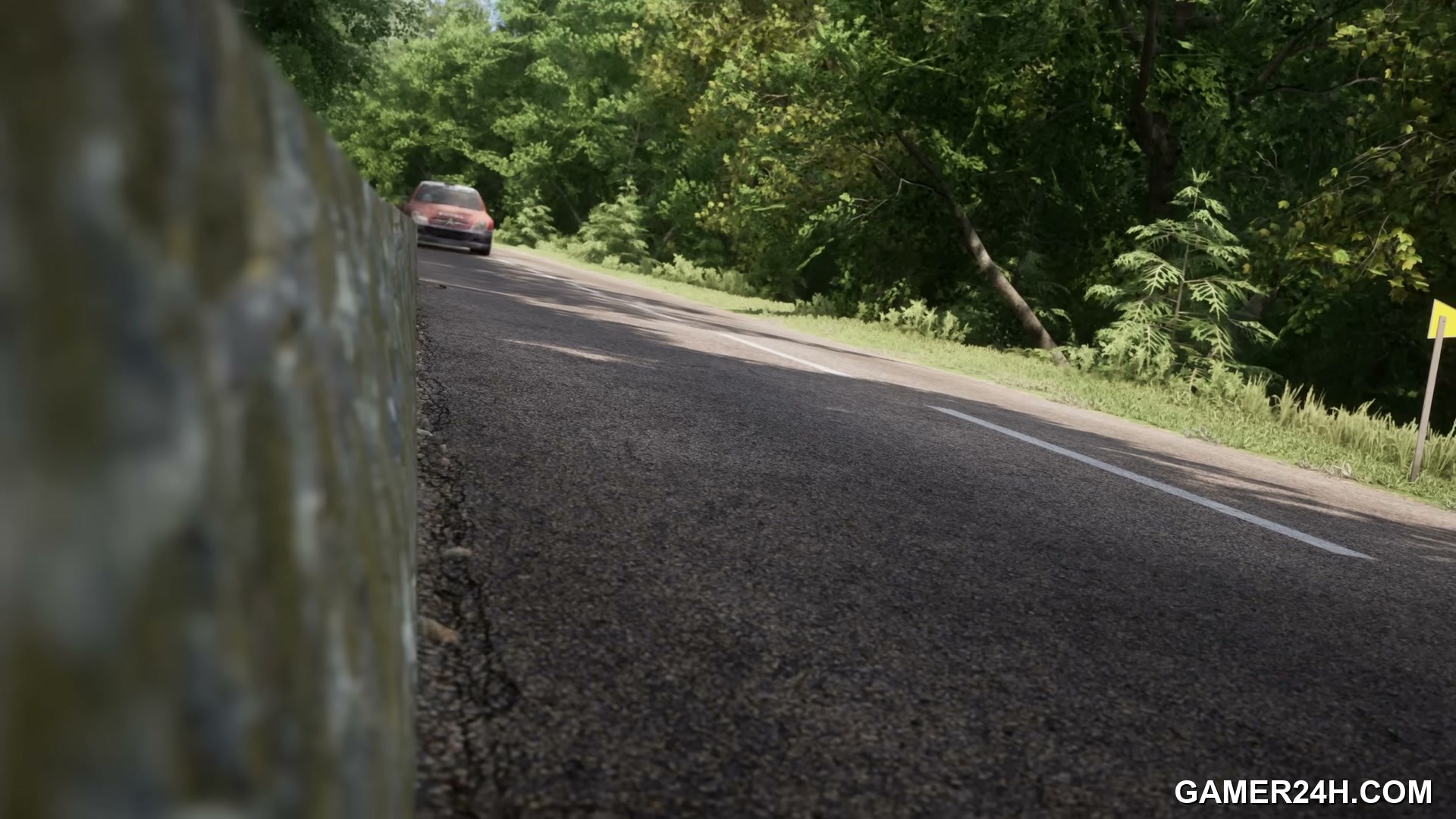 Assetto Corsa Rally Screenshot 13
