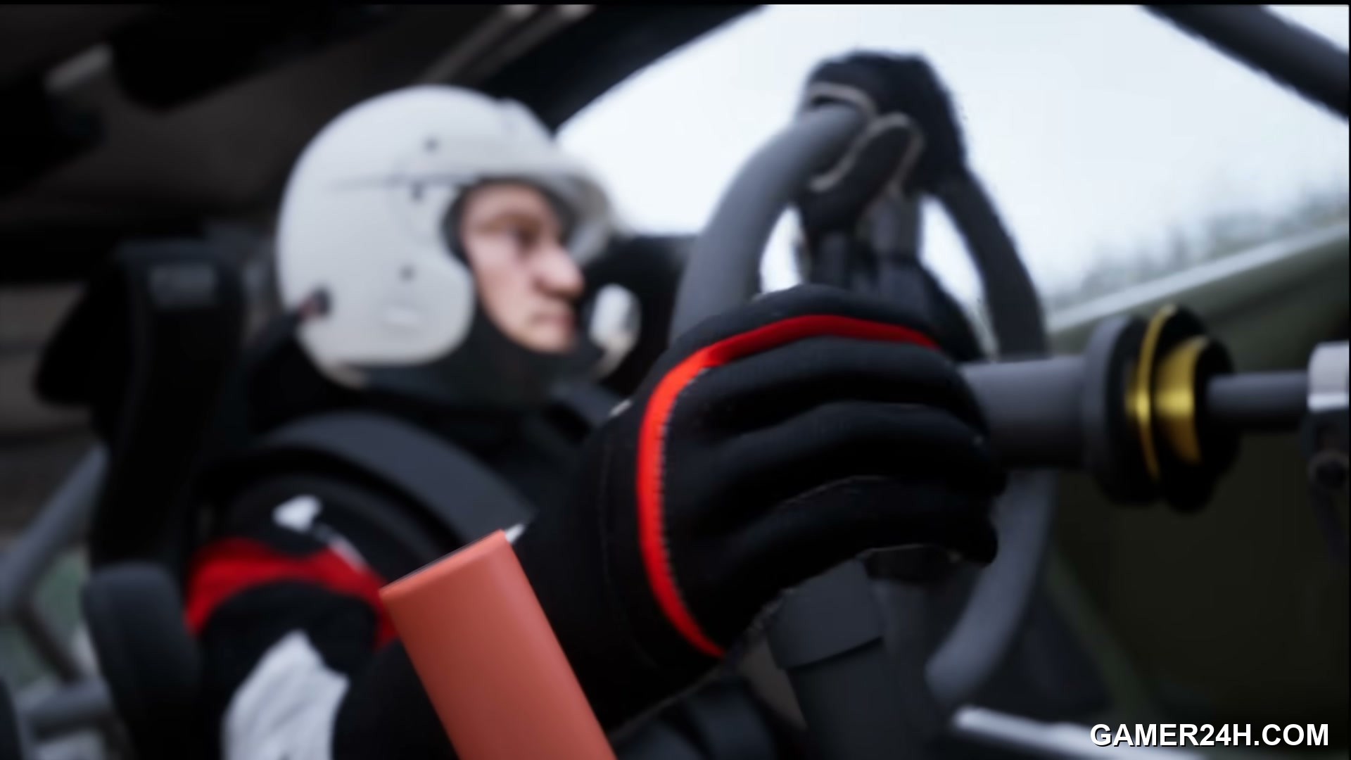 Assetto Corsa Rally Screenshot 20