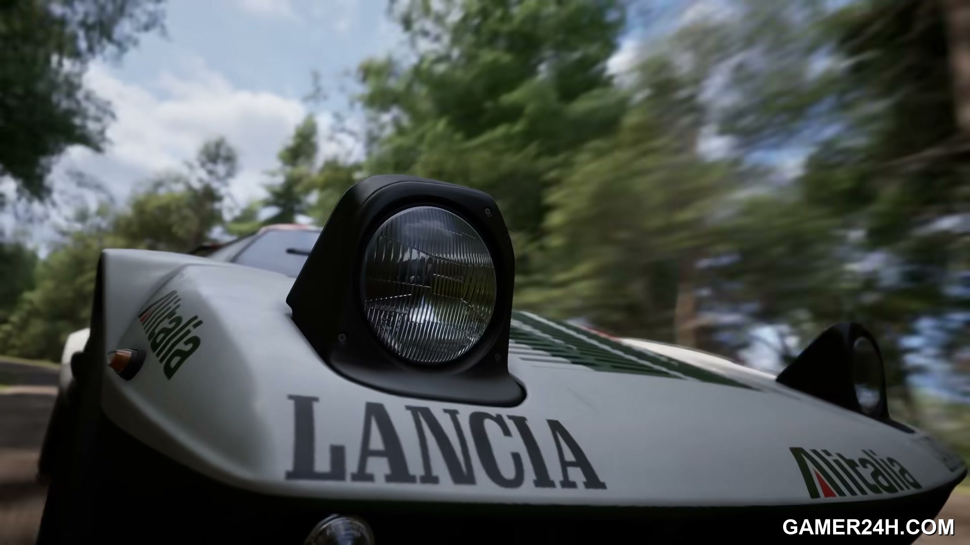 Assetto Corsa Rally Screenshot 25