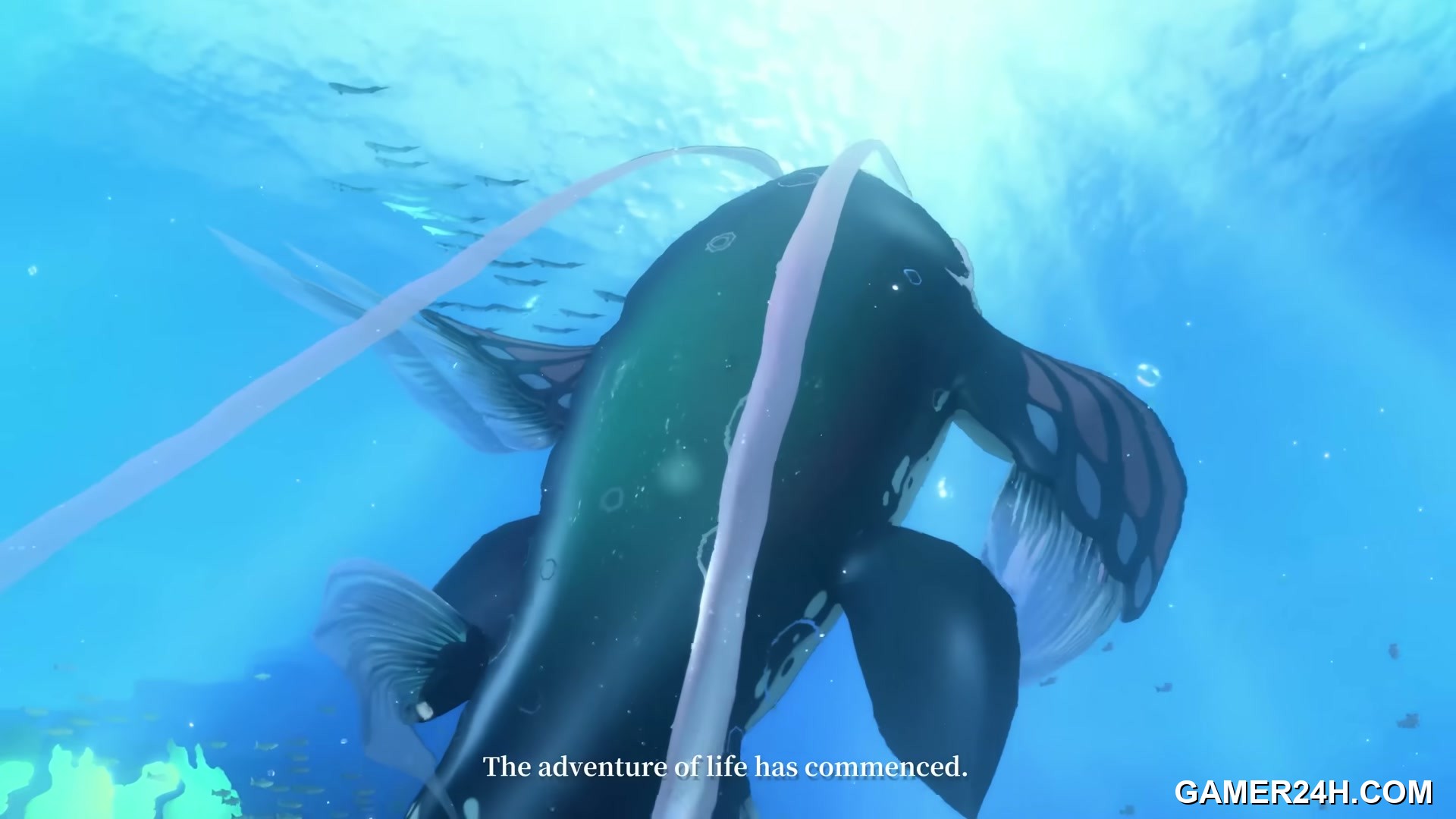 Official HD Capture: Azur Promilia - Combat & Systems: Tactical Espionage and Combat Dynamics
