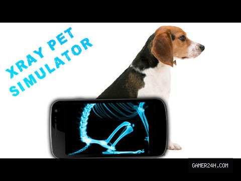 Simulator X-Ray Pet Screenshot 2