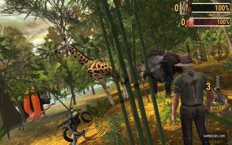 Safari: Online Evolution - Game Overview & History