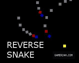 Reverse Snake