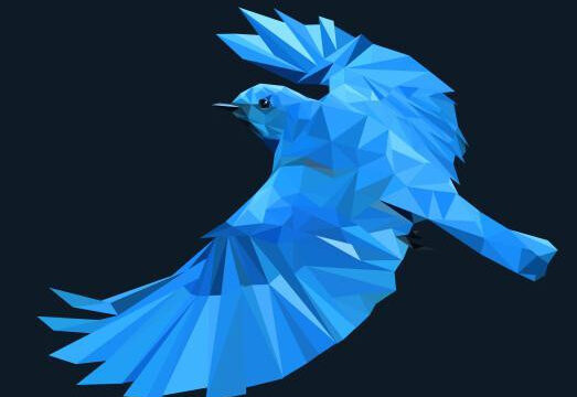 Birdlife