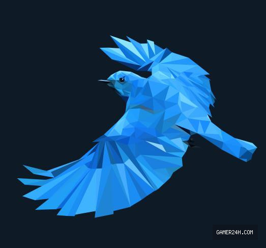 Birdlife Official Cover