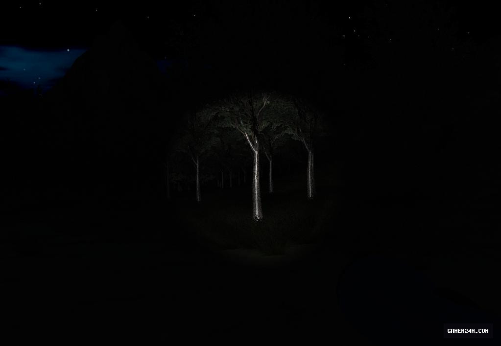 Slender: Strange Forest Screenshot 6