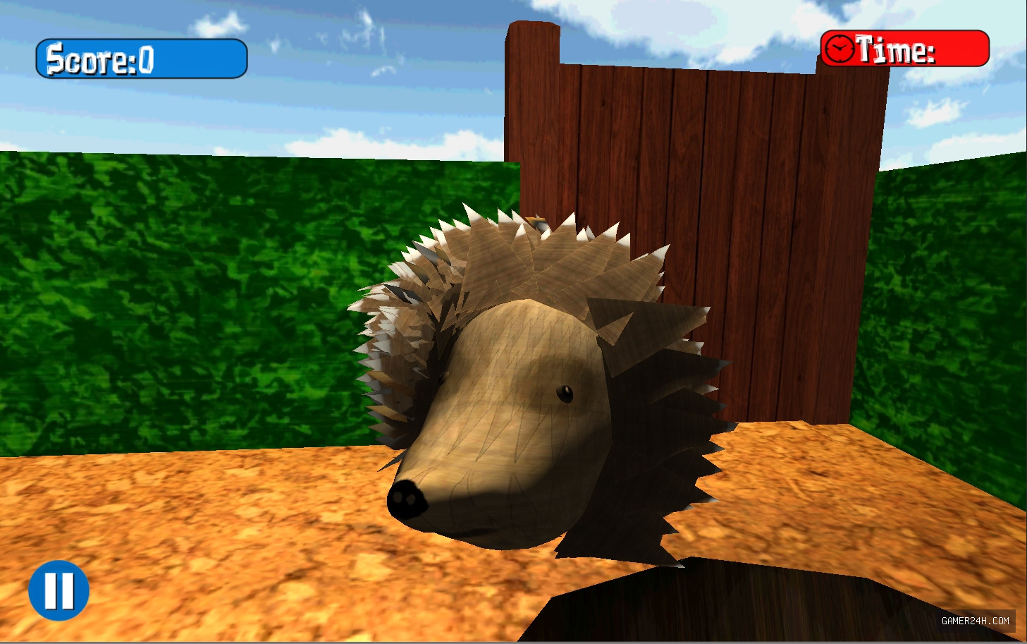 Rolling Hog Adventures - Gameplay Mechanics & Systems