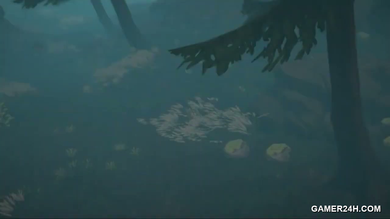 Official HD Capture: Calme - Critical Reception: Expectations and First Impressions