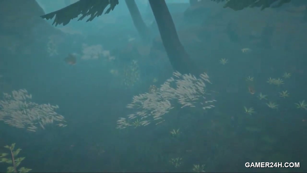 Calme Screenshot 13