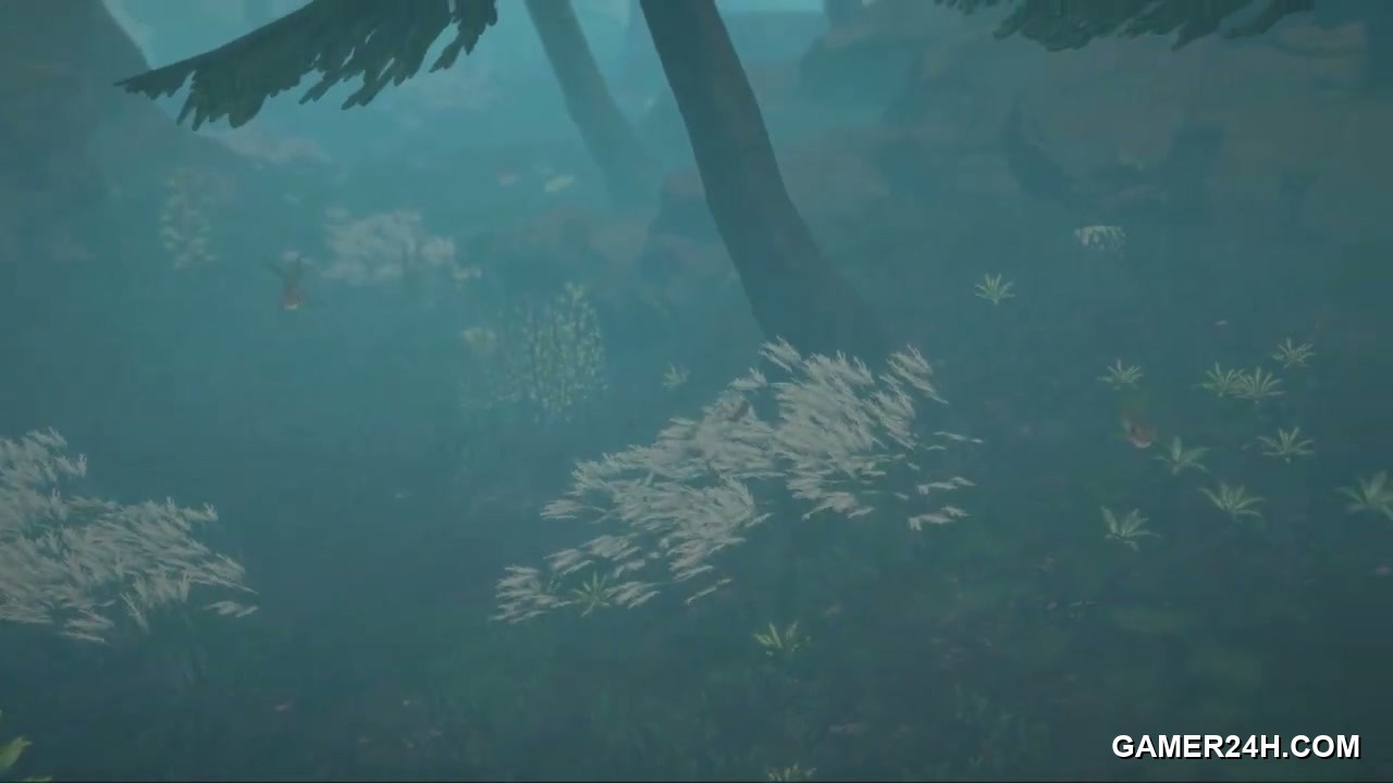 Calme Screenshot 14