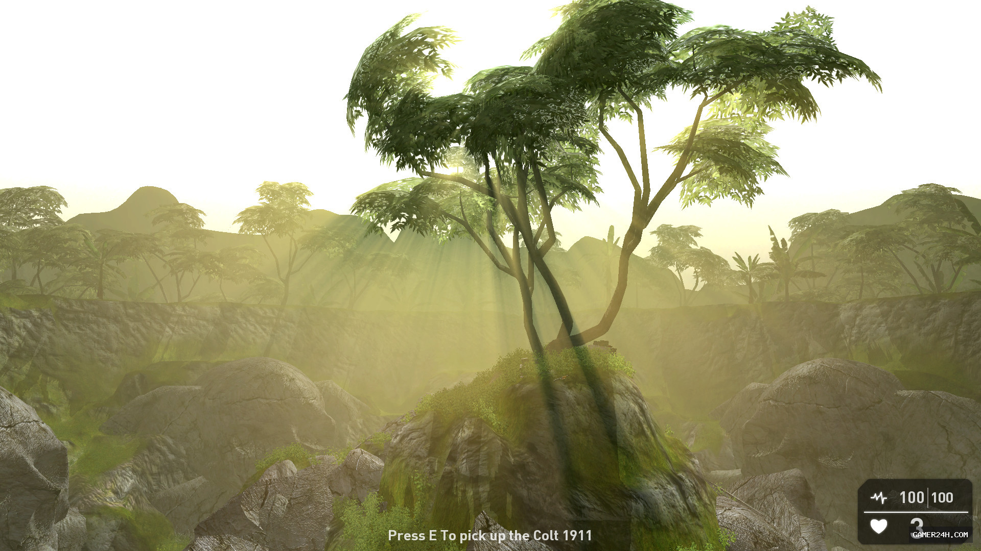 Gameplay Screenshot