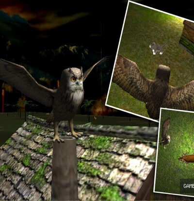 Wild Owl Flying Simulator 3D