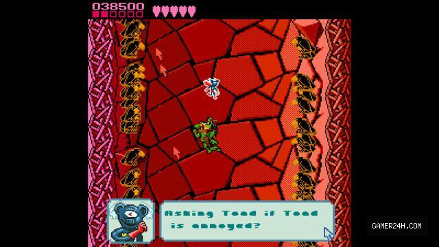 Pause Screen From Battletoads - Game Overview & History