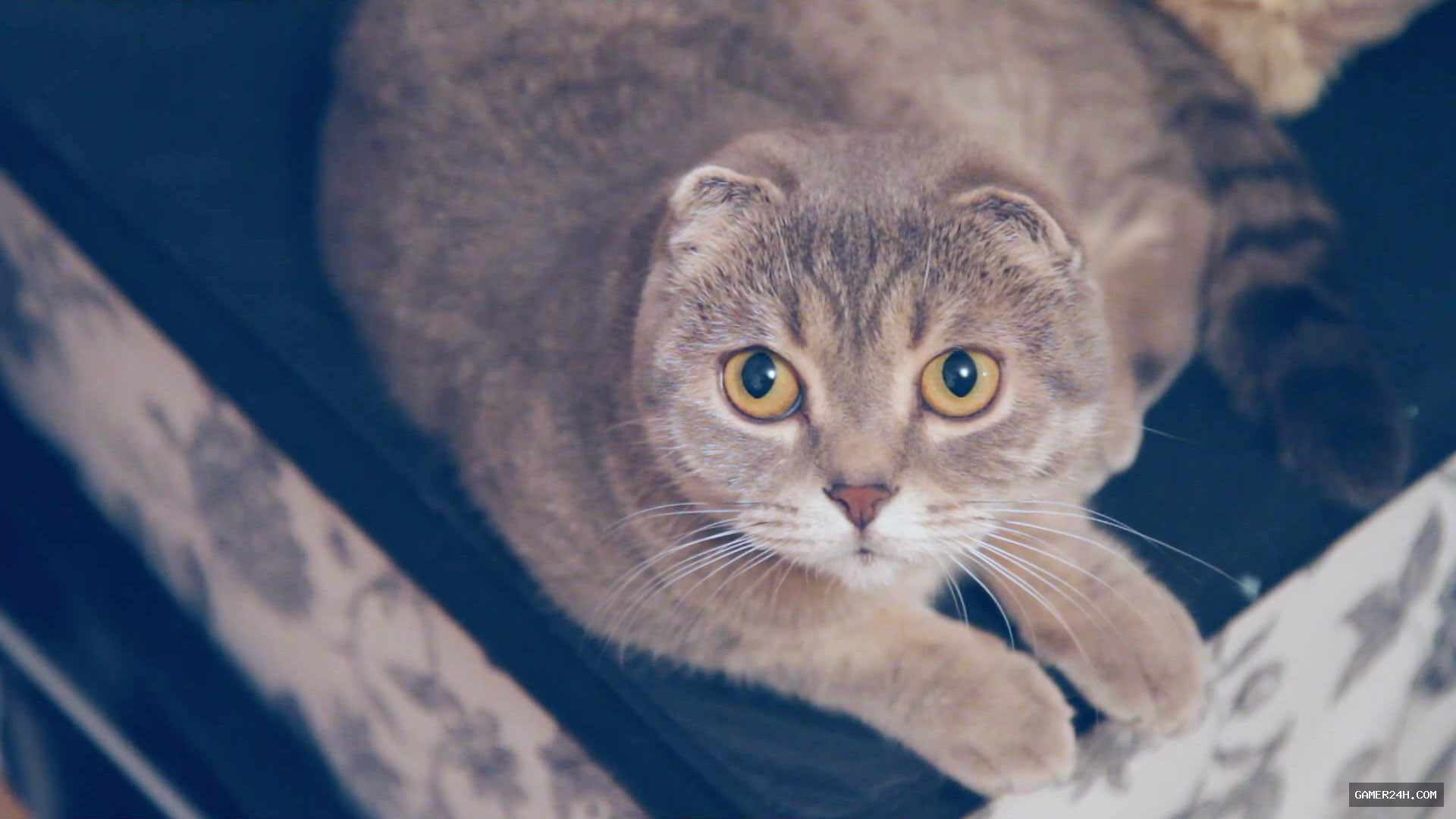 Make it indie! Screenshot 3
