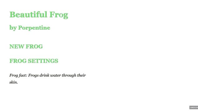 Beautiful Frog