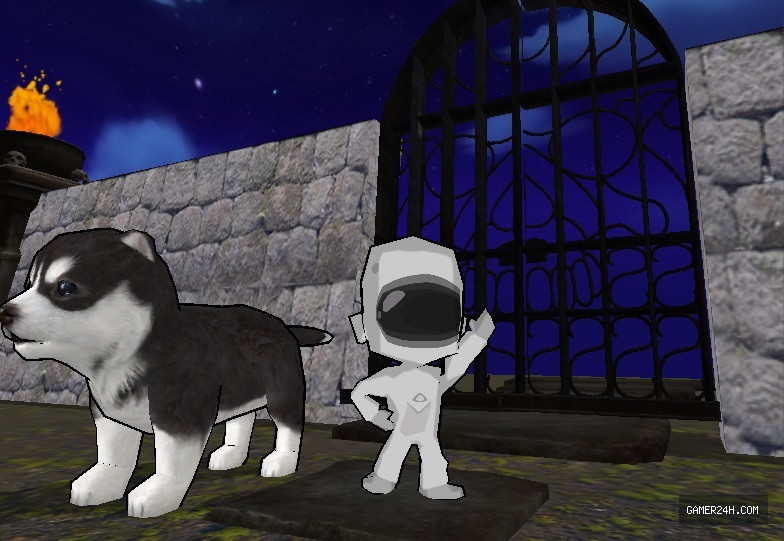 Dog Bulldozer Official Cover