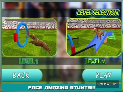 Dog Show Simulator 3D: Train puppies & perform amazing stunts Screenshot 5