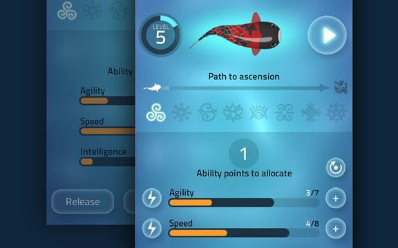Zen Koi – A Tranquil Aquatic Journey