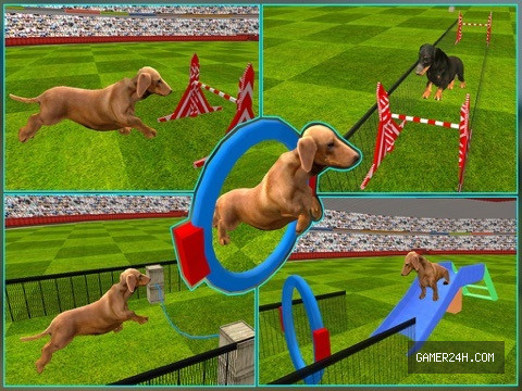 Dog Show Simulator 3D: Train puppies & perform amazing stunts - Game Overview & History