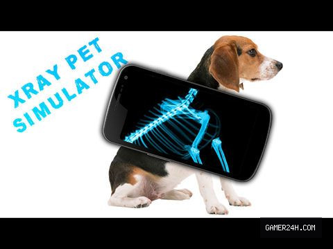 Simulator X-Ray Pet - Game Overview & History