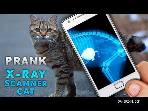 Simulator X-Ray Cat - Game Overview & History