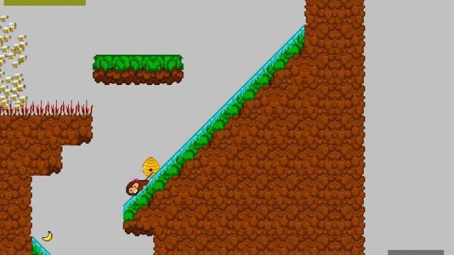 Monkey steals honey