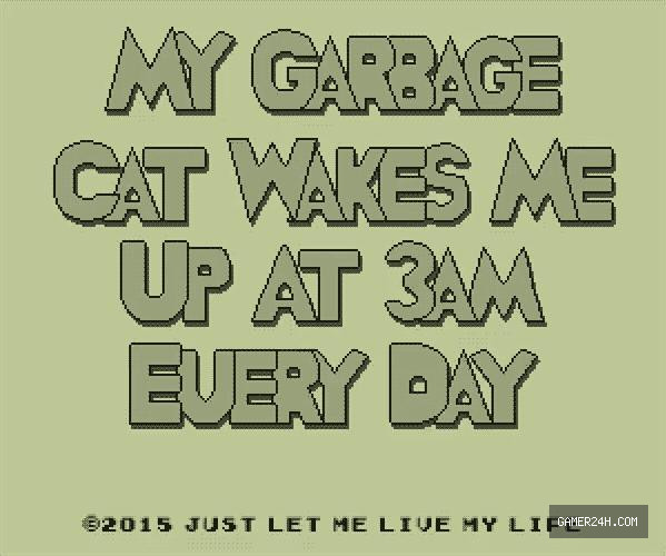 Official HD Capture: My Garbage Cat Wakes Me Up At 3AM Every Day - Game Overview & History