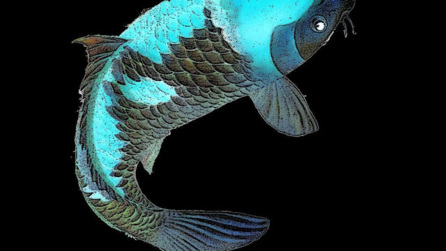 Cyberpunk Carp Killer