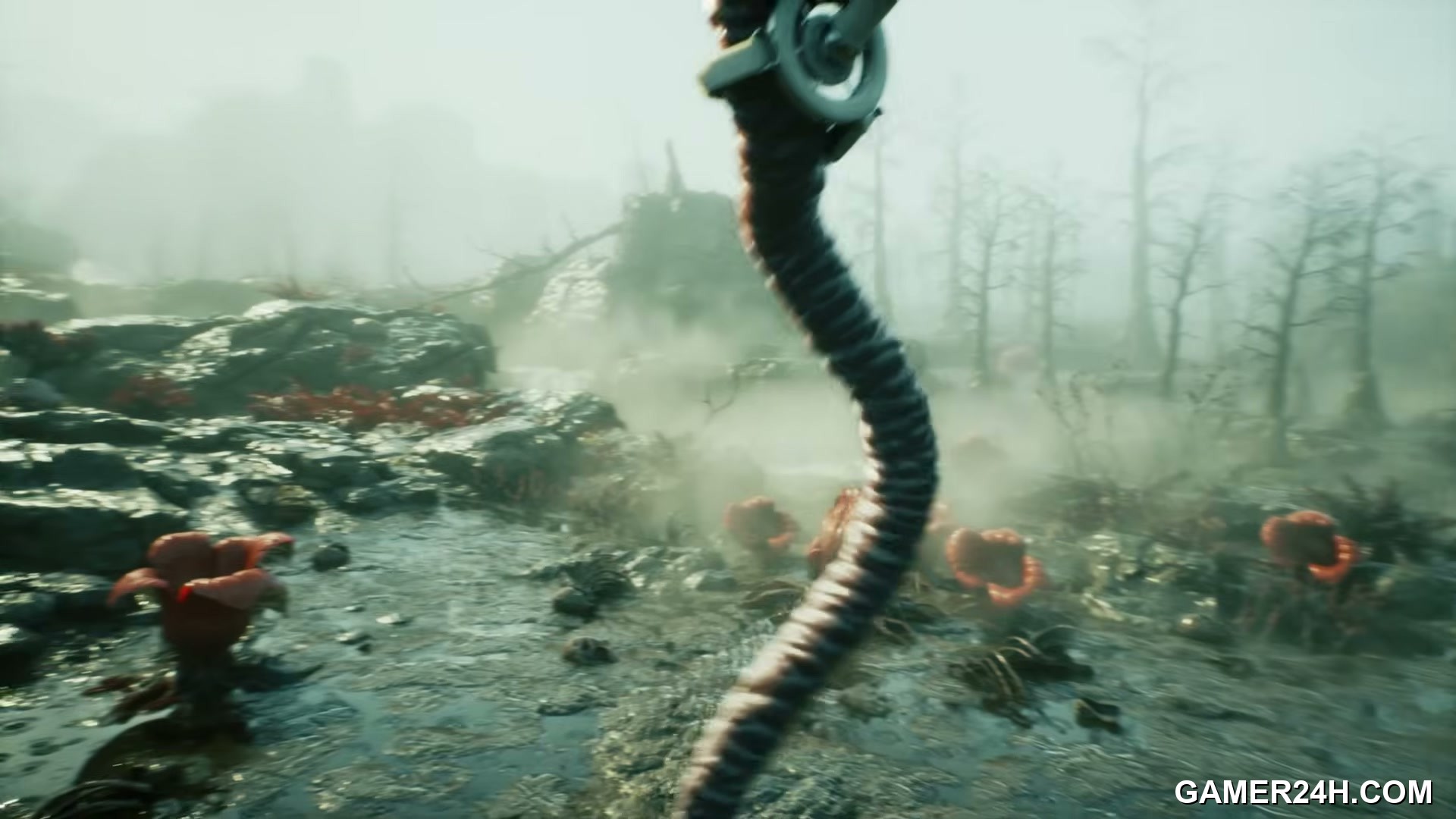 Forest 3 Screenshot 18