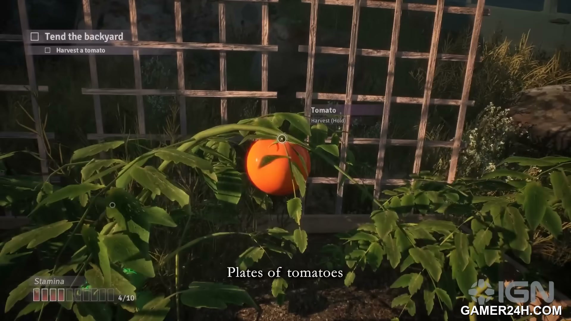 Fractured Blooms Screenshot 11