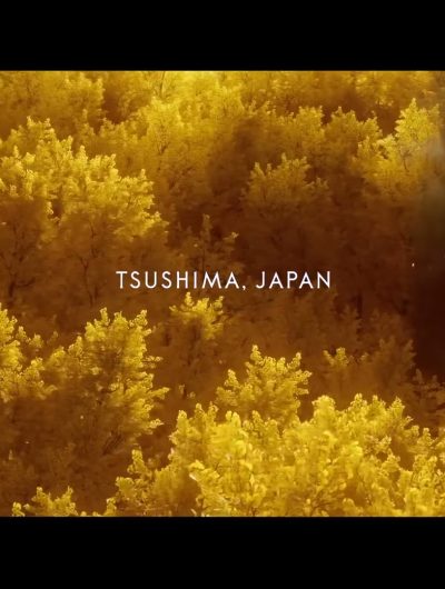 Ghost of Tsushima: Legends