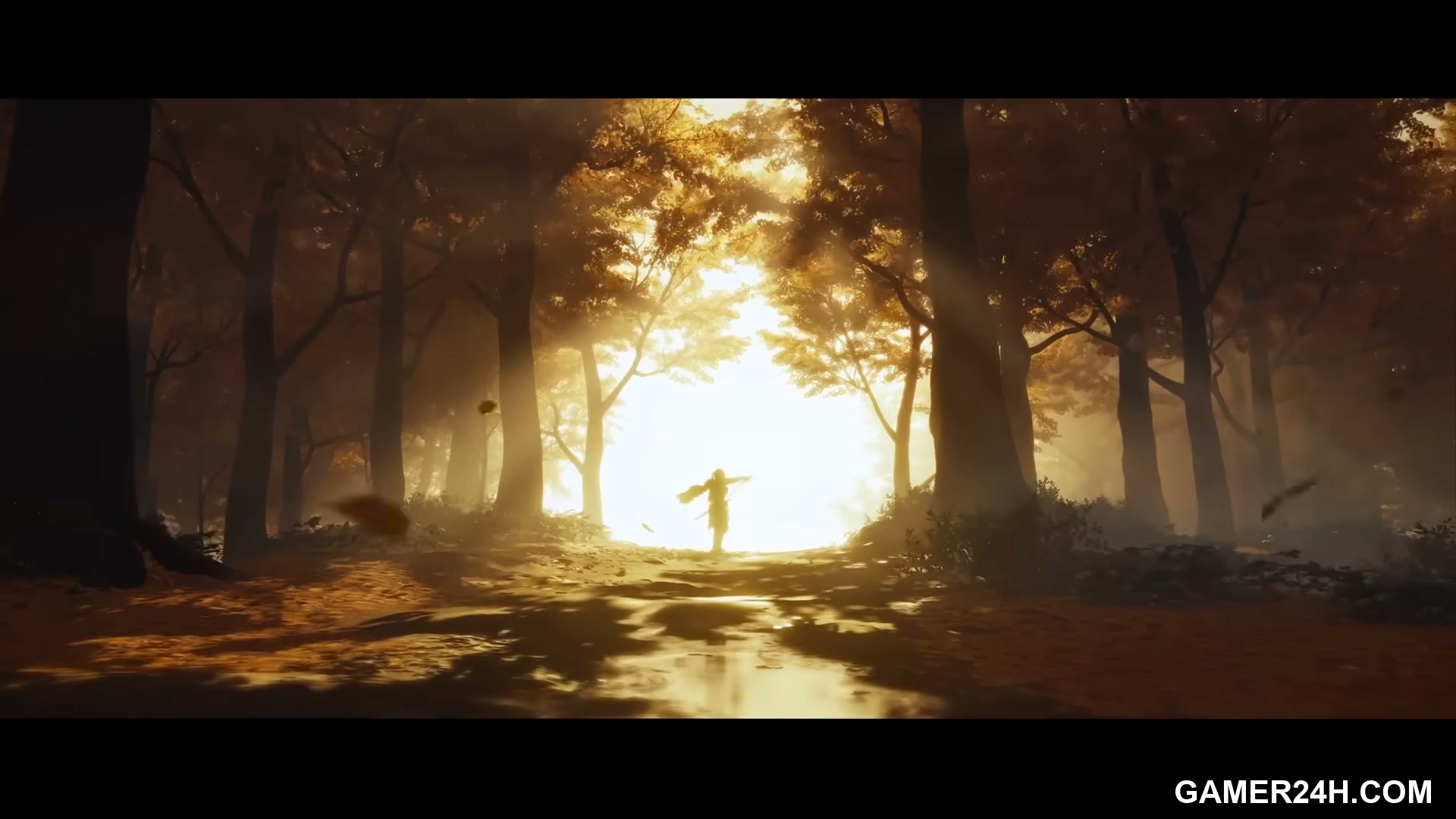 Screenshot 29