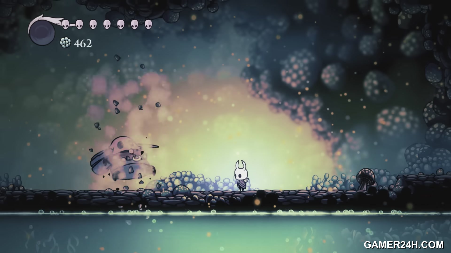 Hollow Knight Screenshot 19