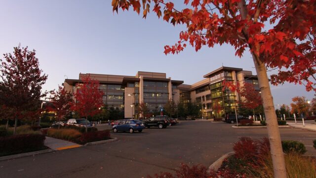 Xbox Reportedly Planning Massive Layoffs to “Reset” Business