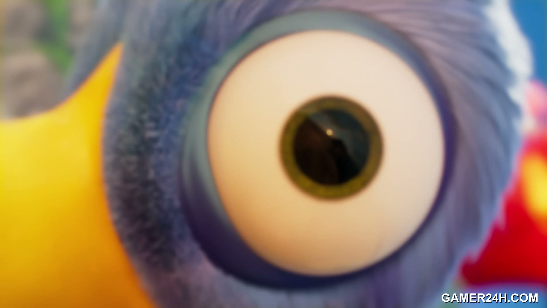 Under a Rock - Critical Reception: Expectations and First Impressions